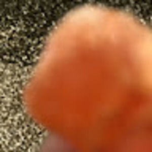 Meet your Posher, Dede